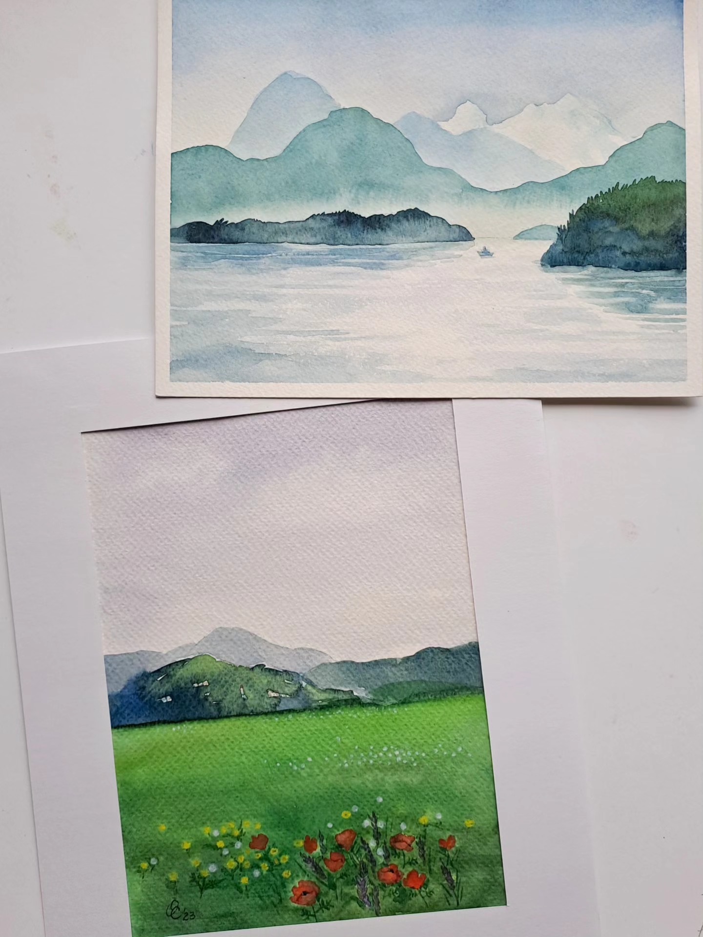 Botanisk akvarell og landskap